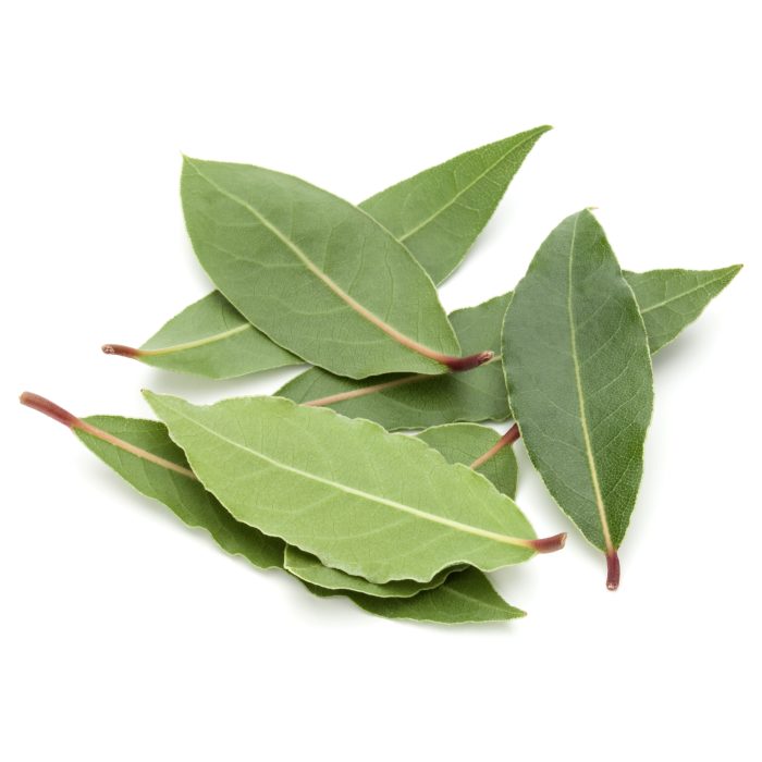 ورق الغار