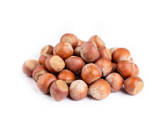 البندق