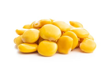 الترمس