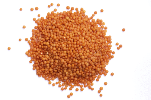 العدس المجروش فطبول