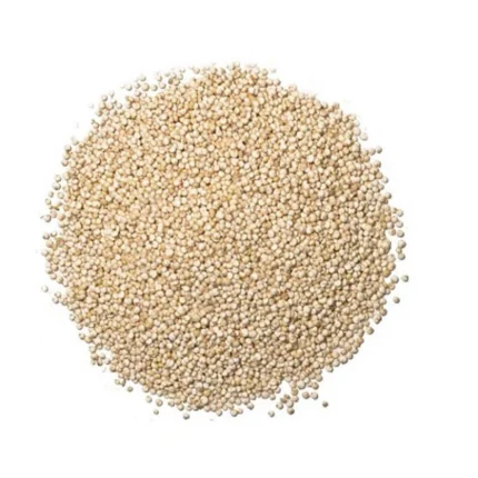 الكينوا البيضاء