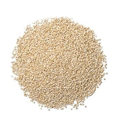 الكينوا البيضاء